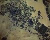 Satellietbeeld-a